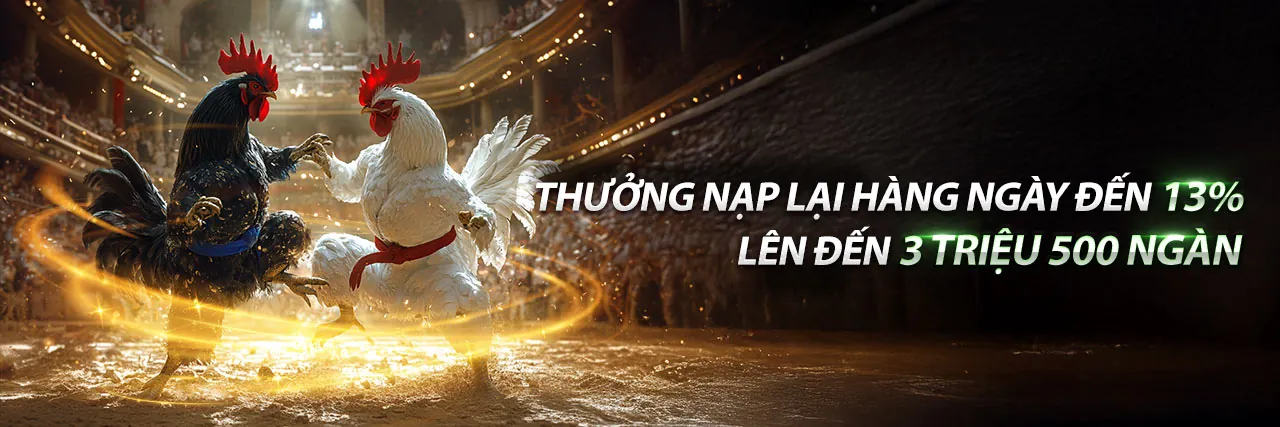 Đánh giá chuyên sâu về Sòng bạc trực tiếp tại V6Bet